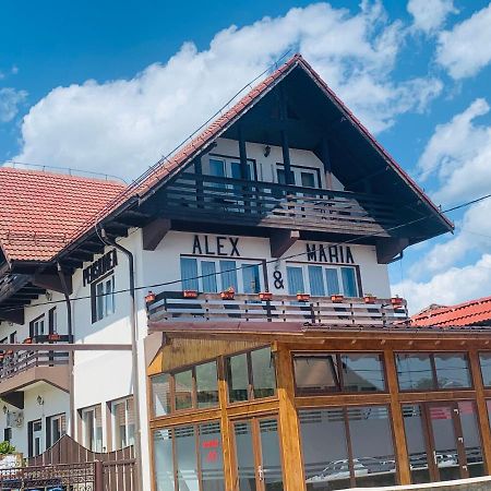 Alex & Maria Cărpinişu Exterior foto
